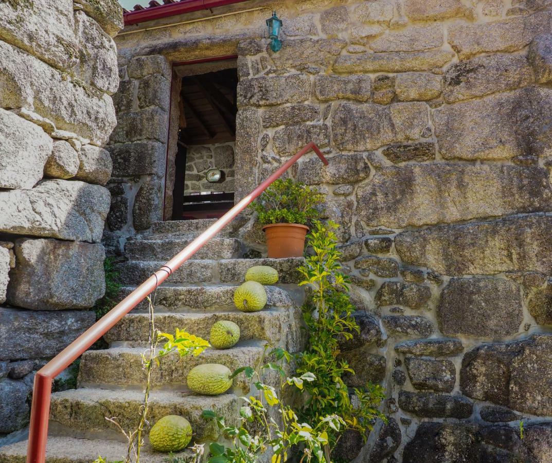 Villa Casa Das Videiras à Soajo Extérieur photo