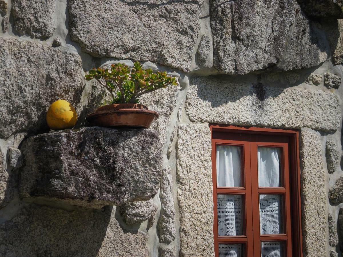 Villa Casa Das Videiras à Soajo Extérieur photo